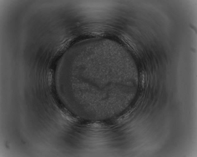 X0000091360412200709071307