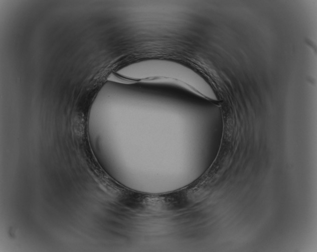 X0000091360413200709071307