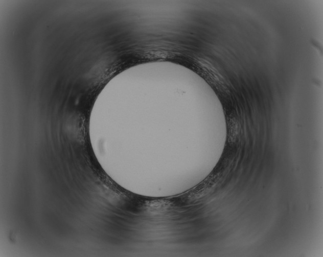 X0000091360414200709071307