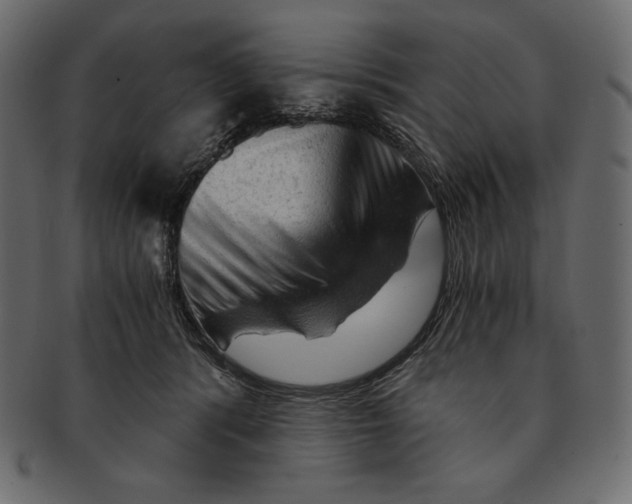 X0000091360416200709071307