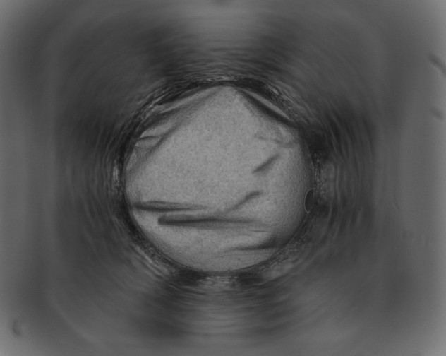 X0000091360418200709071307