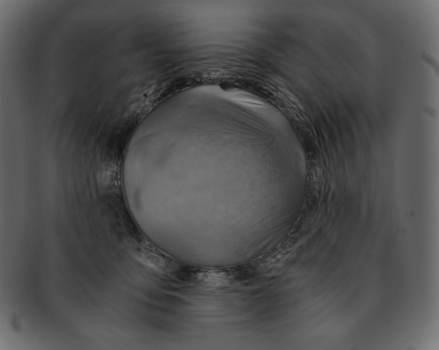 X0000091360419200709071307