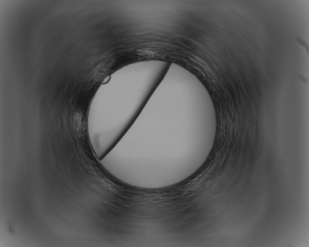 X0000091360420200709071307