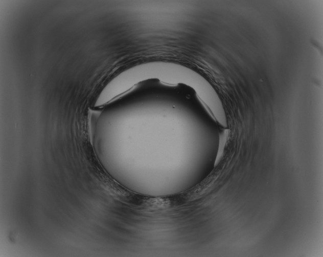 X0000091360421200709071307