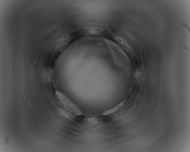 X0000091360423200709071307