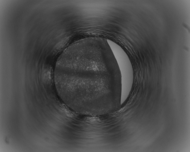 X0000091360424200709071307