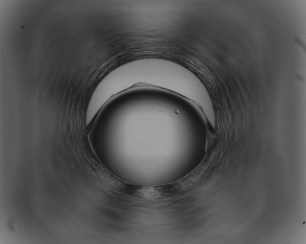 X0000091360425200709071307