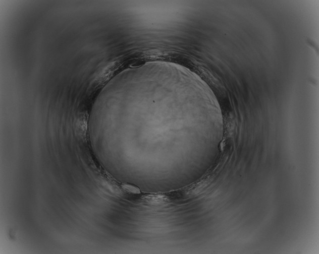 X0000091360427200709071307