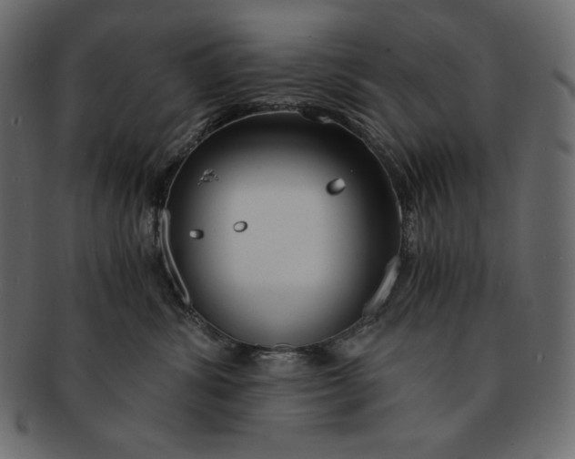 X0000091360428200709071307