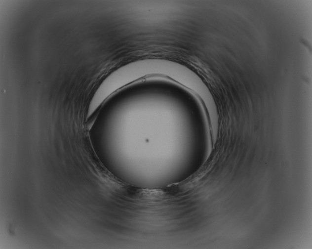 X0000091360429200709071307