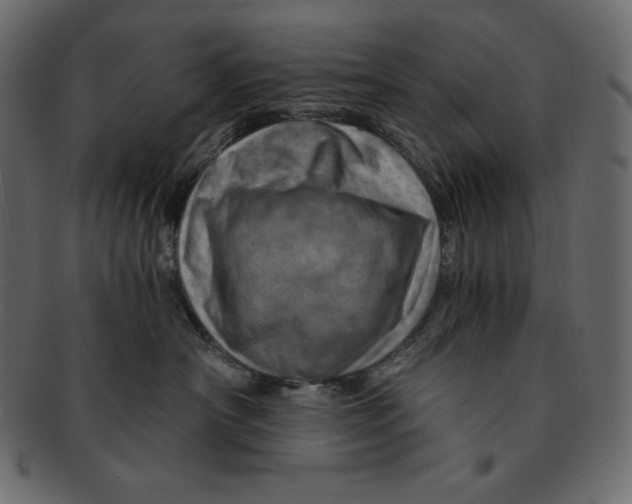 X0000091360430200709071307