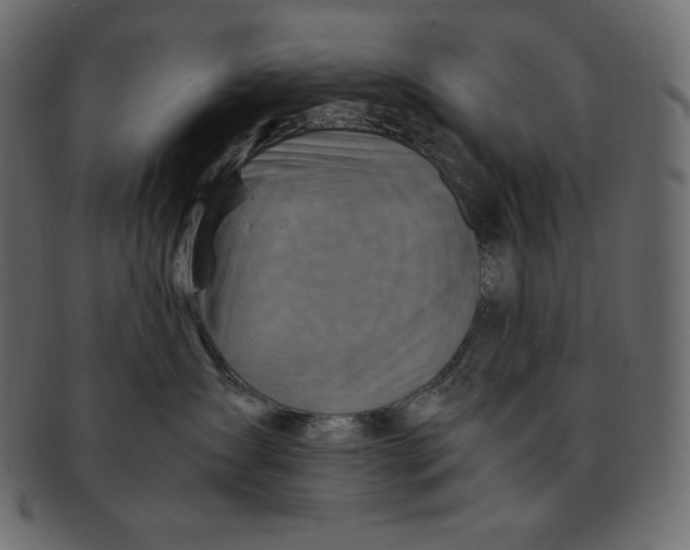 X0000091360431200709071307