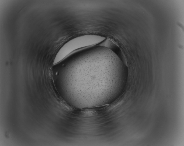 X0000091360432200709071307