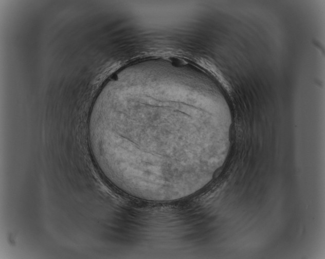 X0000091360433200709071306