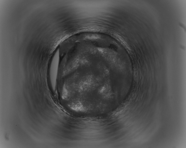 X0000091360434200709071306