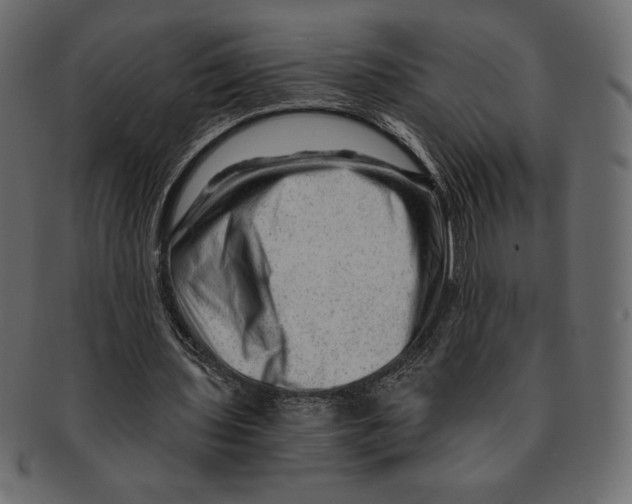 X0000091360435200709071306