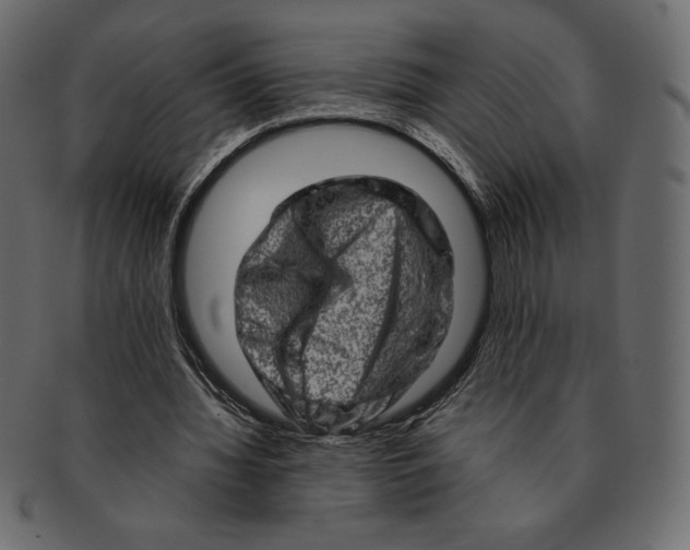 X0000091360436200709071306