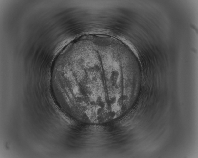 X0000091360437200709071306