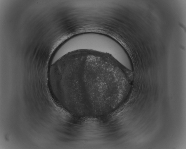 X0000091360438200709071307