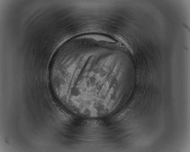 X0000091360439200709071307