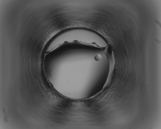 X0000091360440200709071307