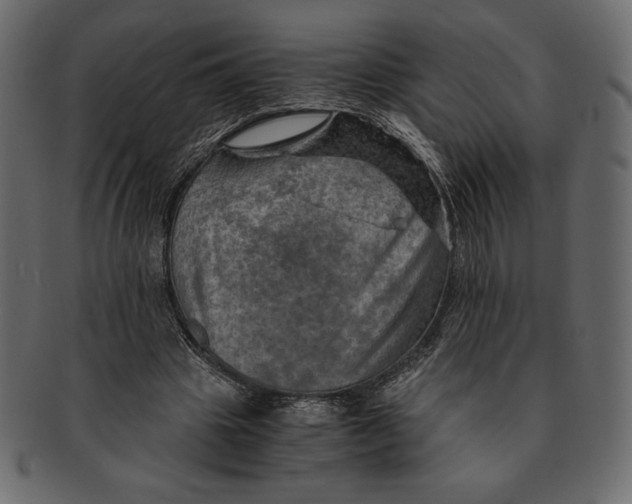 X0000091360441200709071307