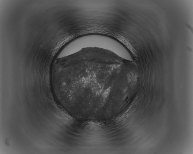 X0000091360442200709071307