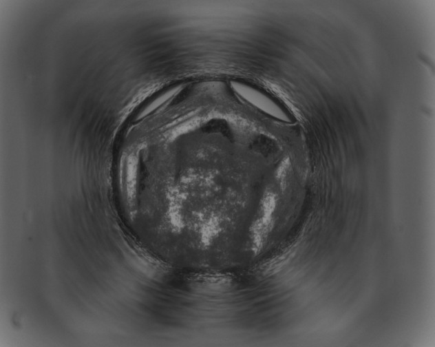 X0000091360443200709071307