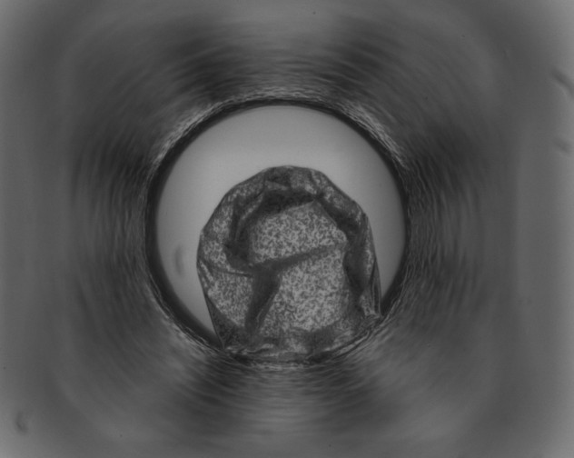 X0000091360444200709071307