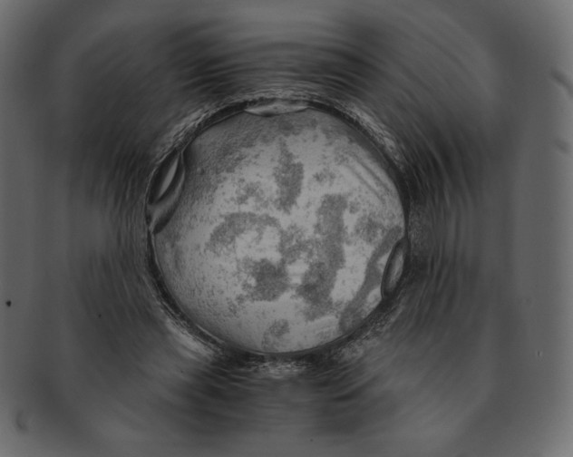 X0000091360445200709071307