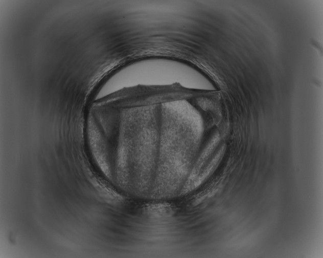 X0000091360446200709071307