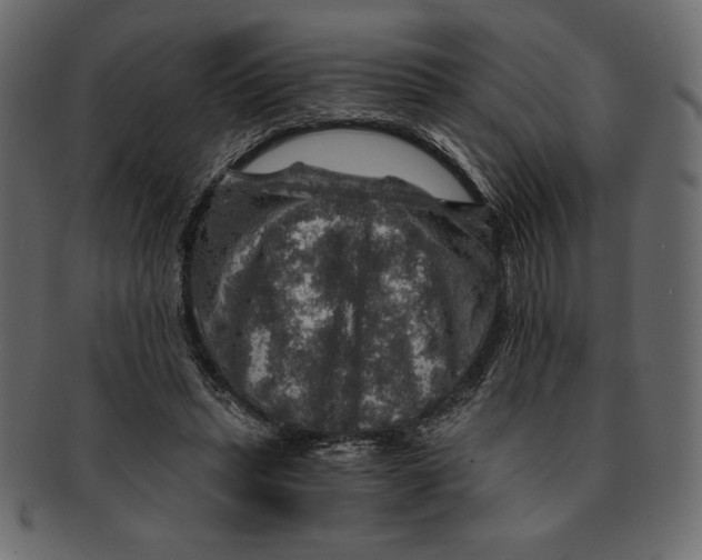 X0000091360447200709071307