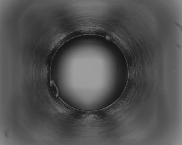 X0000091360448200709071307