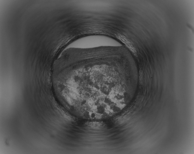 X0000091360449200709071307