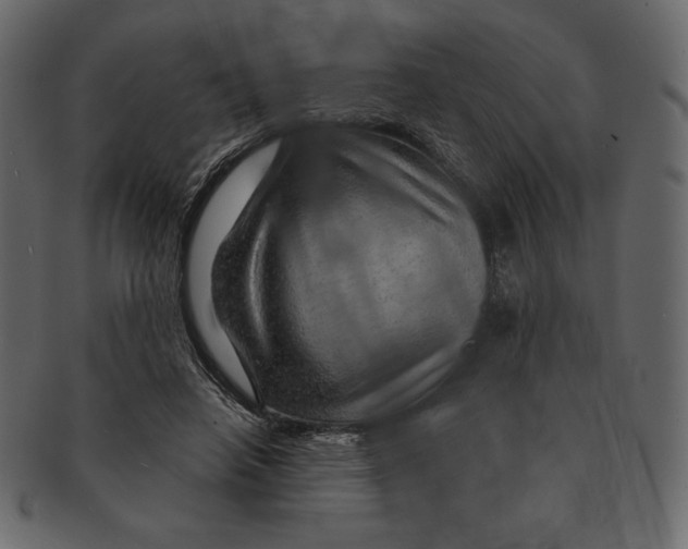 X0000091360450200709071307