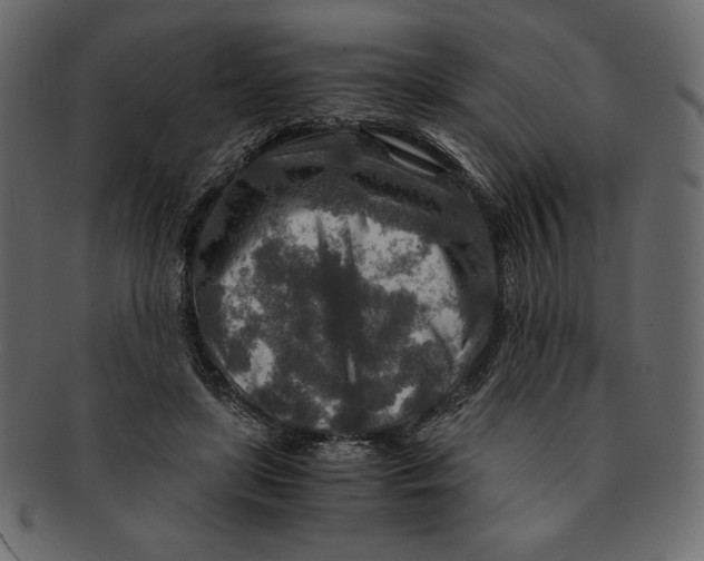 X0000091360451200709071307