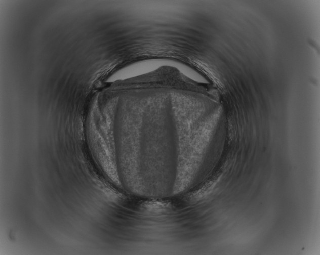 X0000091360453200709071307