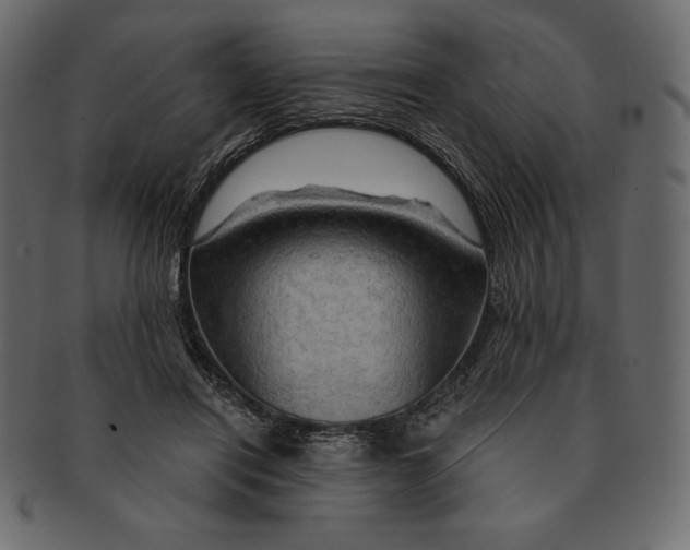 X0000091360454200709071307