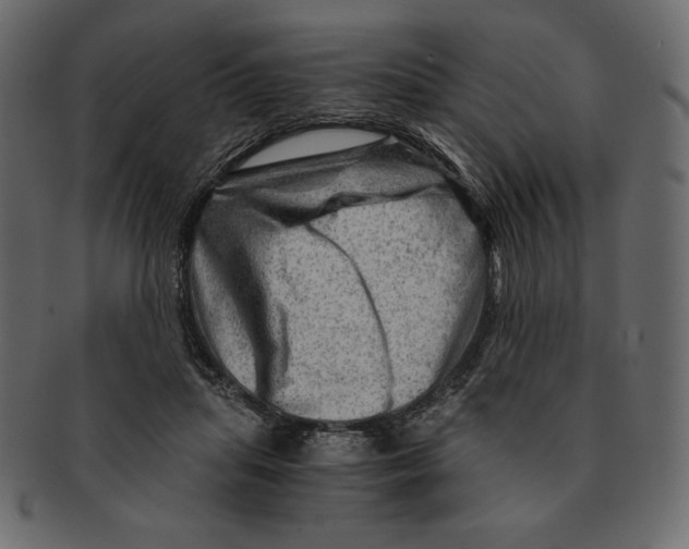 X0000091360455200709071307