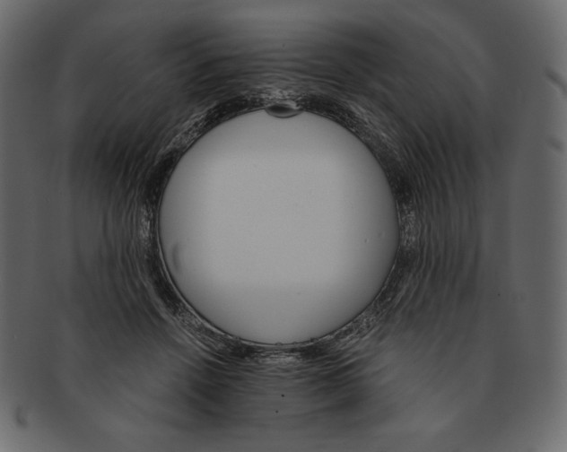 X0000091360456200709071307