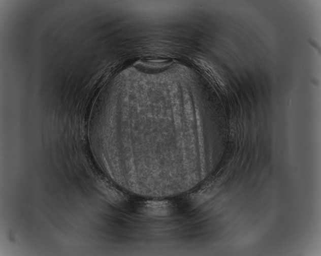 X0000091360457200709071307