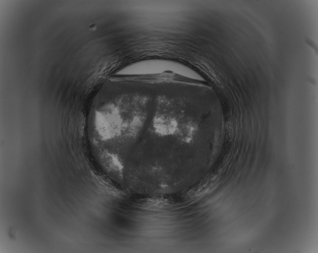 X0000091360458200709071307