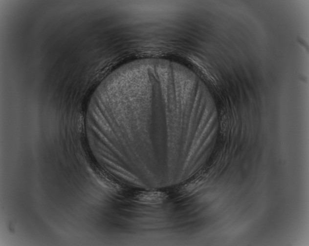 X0000091360459200709071307