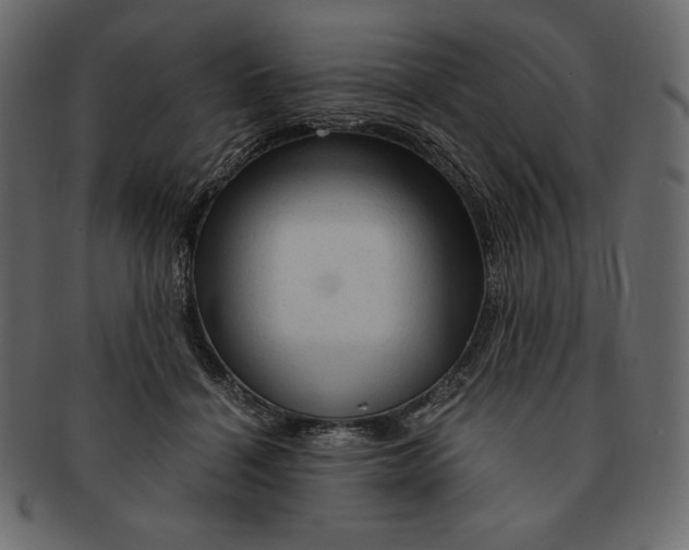 X0000091360460200709071307