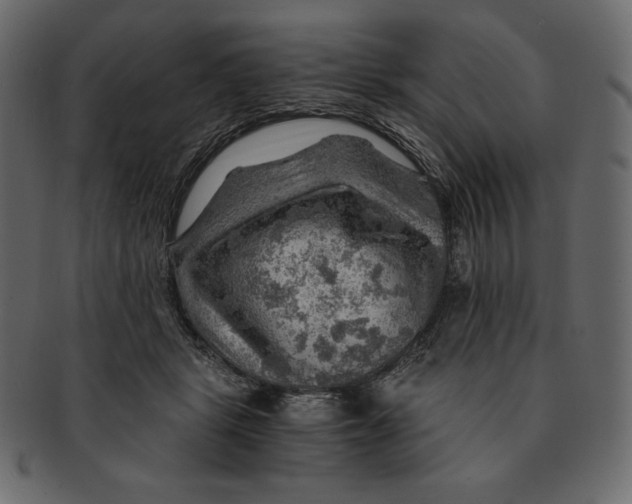 X0000091360461200709071307