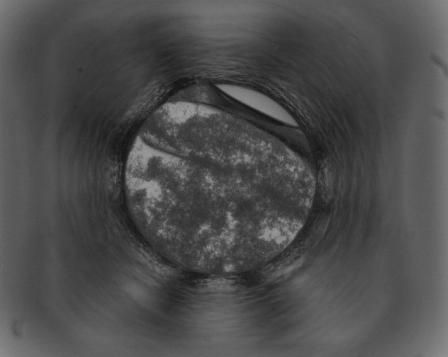 X0000091360462200709071307