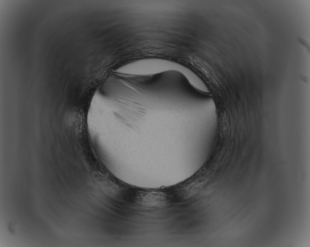 X0000091360463200709071307