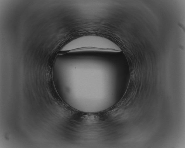 X0000091360464200709071307