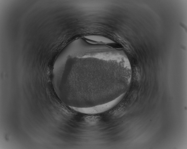 X0000091360465200709071307