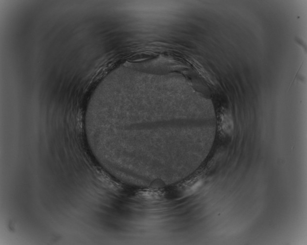 X0000091360466200709071307